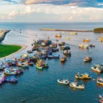 Hinh ảnh Hồ Tràm